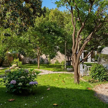 Ahava Buza Apartmán